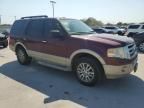 2010 Ford Expedition Eddie Bauer