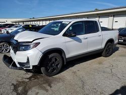 2024 Honda Ridgeline Black Edition en venta en Louisville, KY