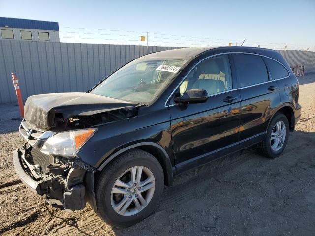 2010 Honda CR-V EXL