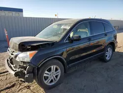 Honda salvage cars for sale: 2010 Honda CR-V EXL