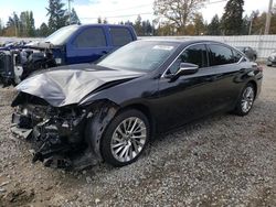 Lexus salvage cars for sale: 2019 Lexus ES 350