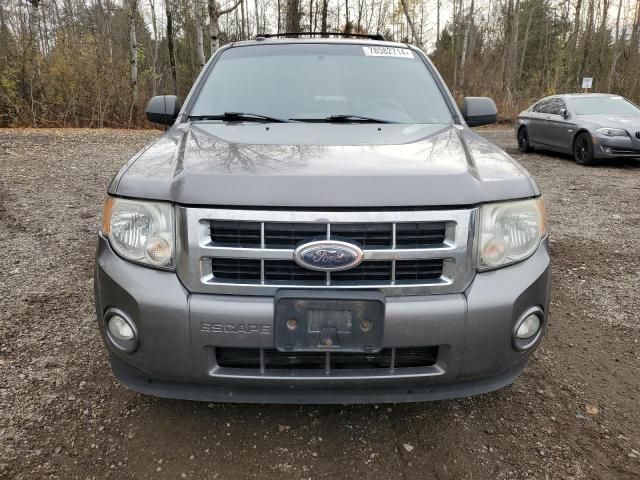 2009 Ford Escape XLT