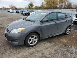 Salvage cars for sale at London, ON auction: 2013 Toyota Corolla Matrix