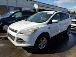 Ford Vehiculos salvage en venta: 2013 Ford Escape SE