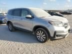 2022 Honda Pilot EXL