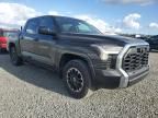 2023 Toyota Tundra Crewmax SR