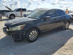 Salvage cars for sale at Arcadia, FL auction: 2012 Honda Accord LX