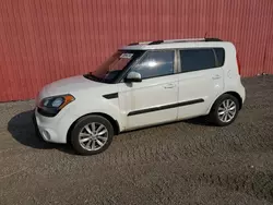 Salvage cars for sale at London, ON auction: 2013 KIA Soul +