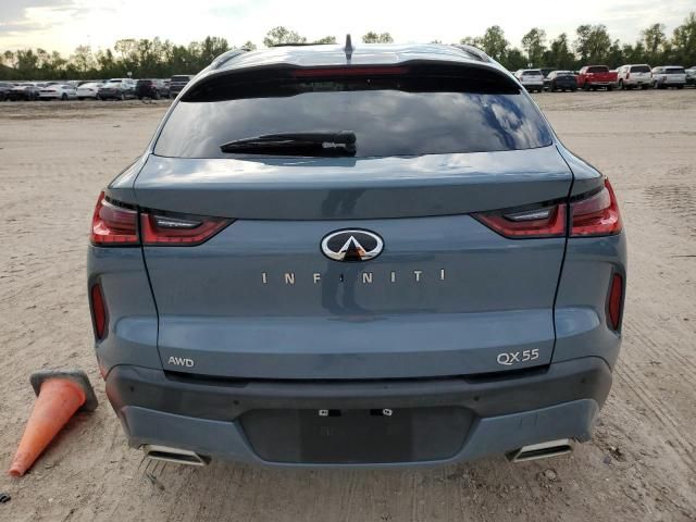 2022 Infiniti QX55 Sensory