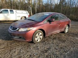 Salvage cars for sale from Copart Cookstown, ON: 2013 Honda Civic LX