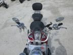 2005 Harley-Davidson Flstci