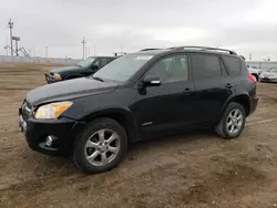 Toyota salvage cars for sale: 2009 Toyota Rav4 Limited