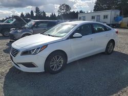 Salvage cars for sale at Graham, WA auction: 2017 Hyundai Sonata SE