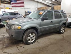 Ford salvage cars for sale: 2007 Ford Escape XLT