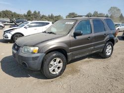 2006 Ford Escape XLT en venta en Elgin, IL