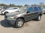 2006 Ford Escape XLT