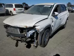 Salvage cars for sale at Vallejo, CA auction: 2023 Hyundai Tucson SE