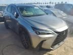 2023 Lexus NX 350