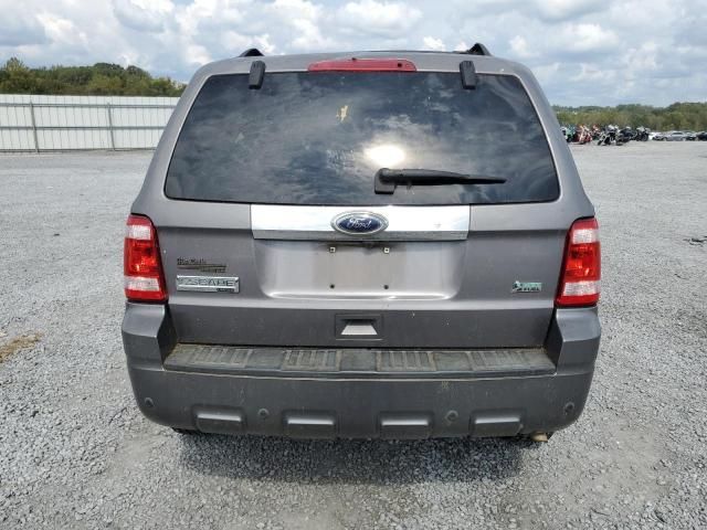 2011 Ford Escape Limited