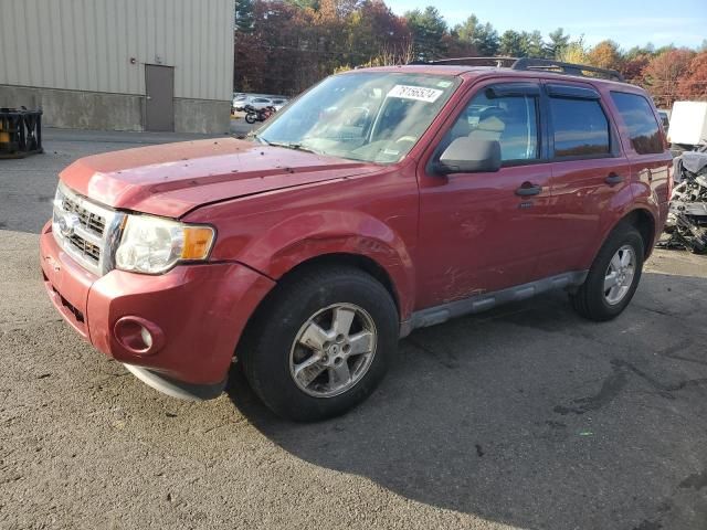 2012 Ford Escape XLT