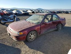 Salvage cars for sale at Helena, MT auction: 1993 Honda Accord EX