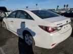 2013 Hyundai Sonata Hybrid