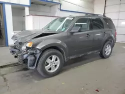 Vehiculos salvage en venta de Copart Pasco, WA: 2010 Ford Escape XLT