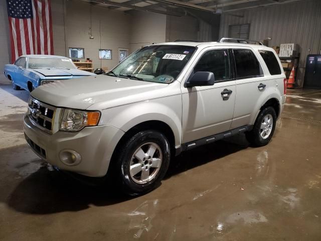 2009 Ford Escape XLT