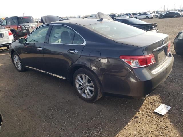 2011 Lexus ES 350