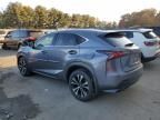 2020 Lexus NX 300 F Sport