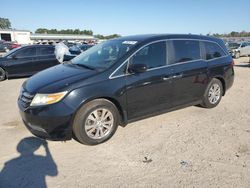 Honda Odyssey exl Vehiculos salvage en venta: 2014 Honda Odyssey EXL