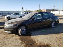 Honda Accord exl Vehiculos salvage en venta: 2011 Honda Accord EXL