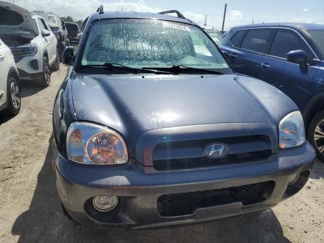 2005 Hyundai Santa FE GLS