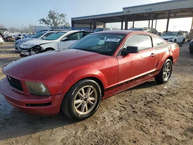 2005 Ford Mustang