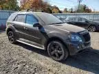 2009 Mercedes-Benz ML 350