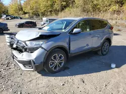 Honda salvage cars for sale: 2022 Honda CR-V EXL