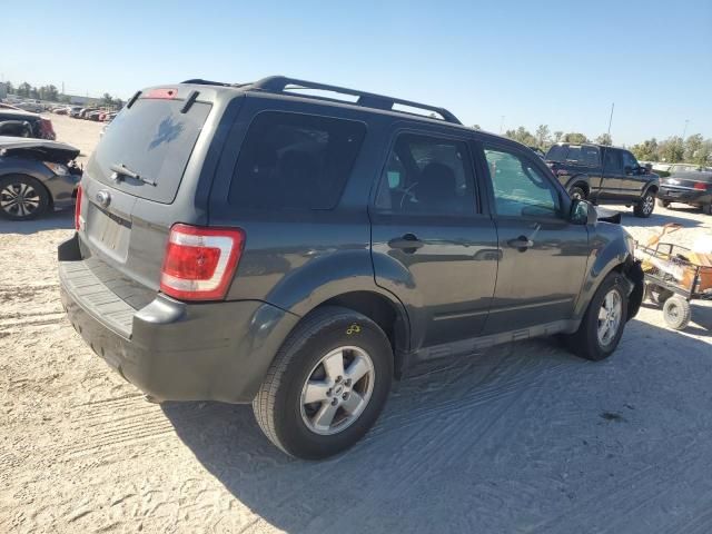 2009 Ford Escape XLT