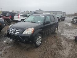 Honda salvage cars for sale: 2006 Honda CR-V SE