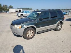 Ford Vehiculos salvage en venta: 2002 Ford Escape XLT