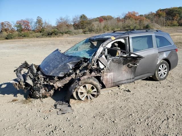 2014 Honda Odyssey EX