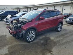 Salvage Cars with No Bids Yet For Sale at auction: 2019 Ford Escape SEL