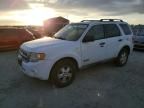 2008 Ford Escape XLT