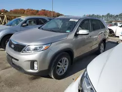 Salvage cars for sale at Windsor, NJ auction: 2014 KIA Sorento LX