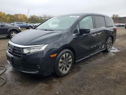 Salvage cars for sale at New Britain, CT auction: 2021 Honda Odyssey EXL