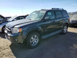 Ford salvage cars for sale: 2009 Ford Escape Hybrid