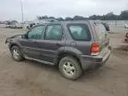 2002 Ford Escape XLS