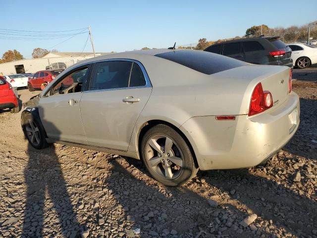 2009 Chevrolet Malibu Hybrid