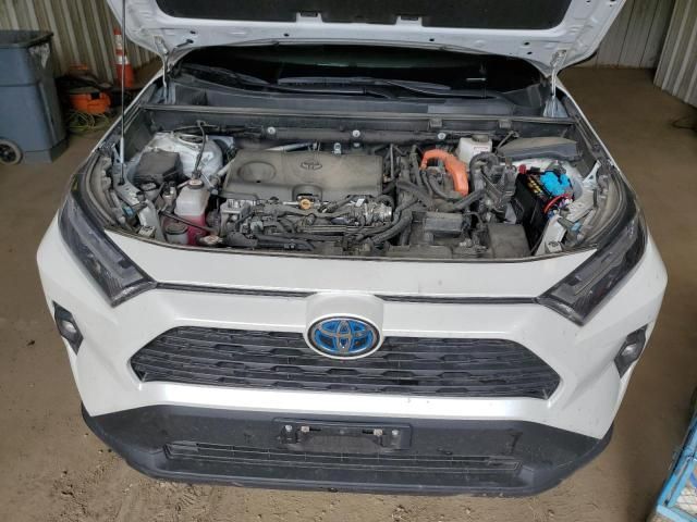 2023 Toyota Rav4 XLE Premium