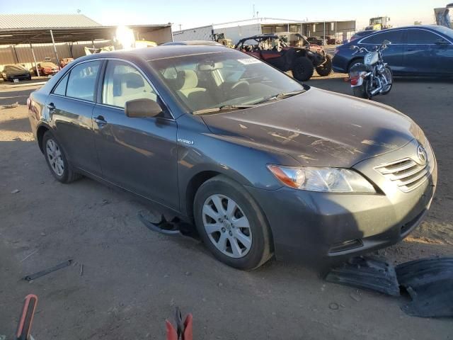 2008 Toyota Camry Hybrid