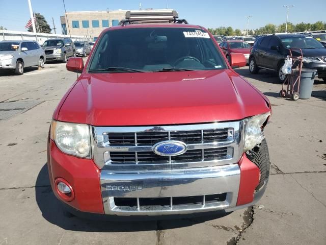 2011 Ford Escape Limited